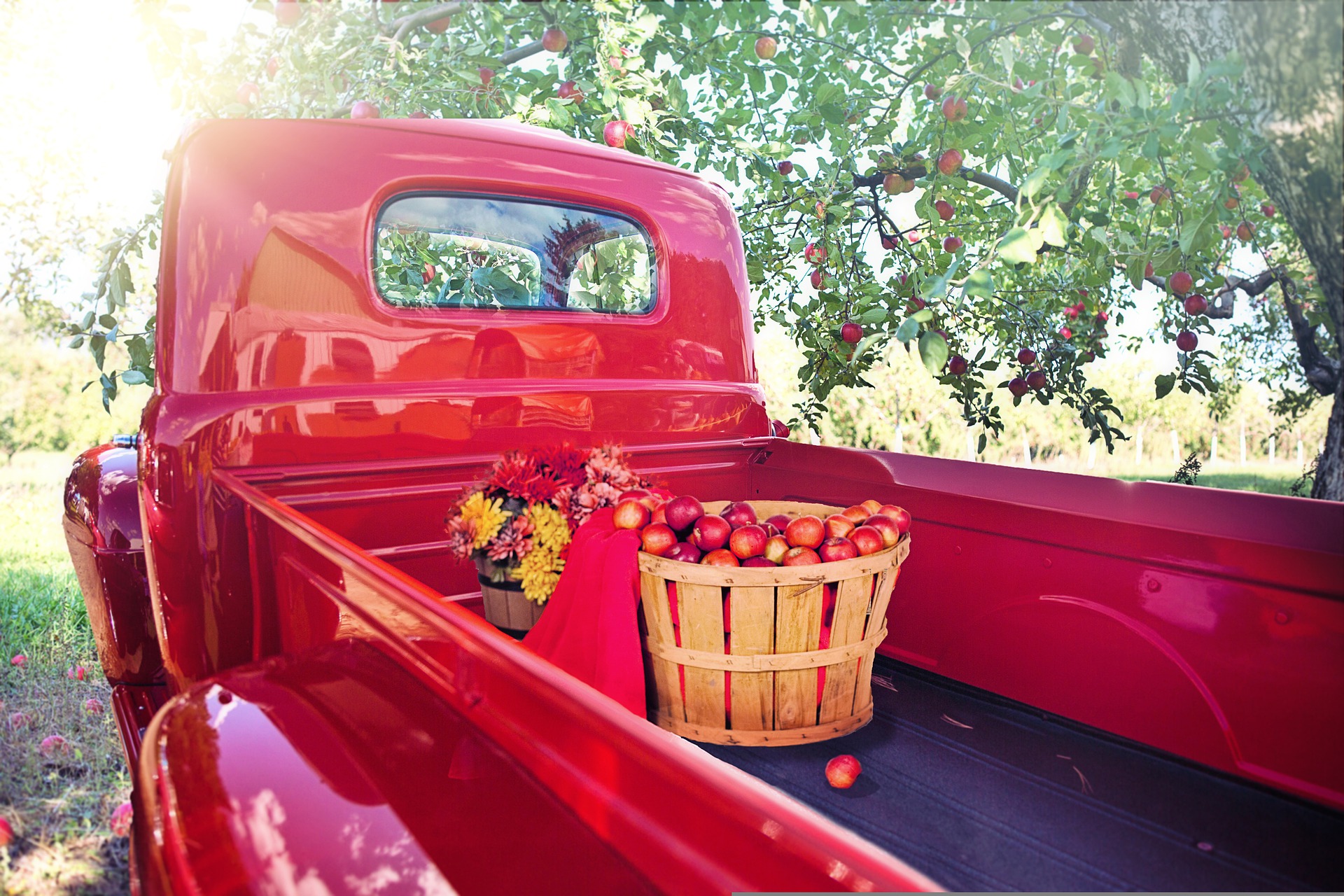 vintage-4579557_1920